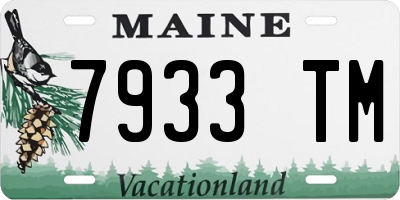 ME license plate 7933TM