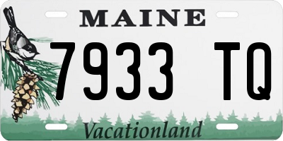 ME license plate 7933TQ