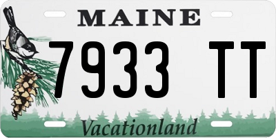 ME license plate 7933TT