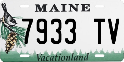 ME license plate 7933TV
