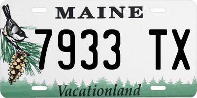ME license plate 7933TX