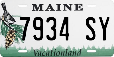 ME license plate 7934SY