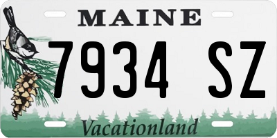 ME license plate 7934SZ