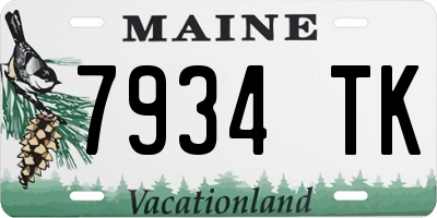 ME license plate 7934TK