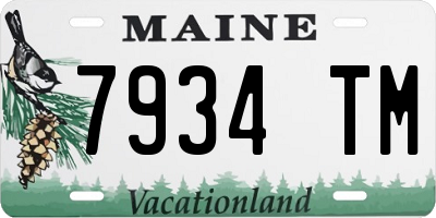 ME license plate 7934TM