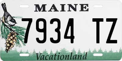 ME license plate 7934TZ