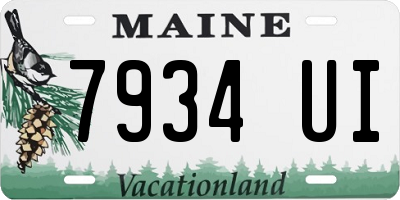 ME license plate 7934UI