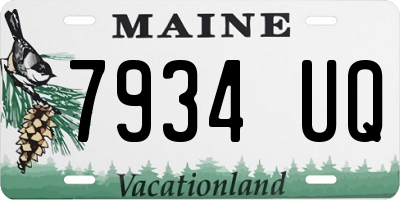ME license plate 7934UQ