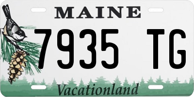 ME license plate 7935TG