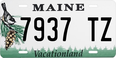 ME license plate 7937TZ