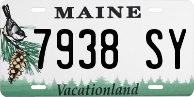 ME license plate 7938SY