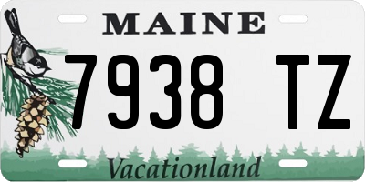 ME license plate 7938TZ