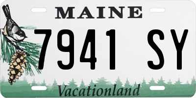 ME license plate 7941SY
