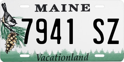 ME license plate 7941SZ