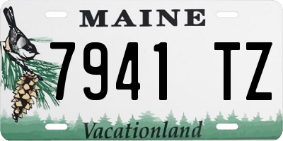ME license plate 7941TZ