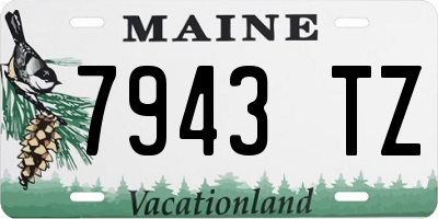 ME license plate 7943TZ