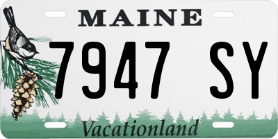 ME license plate 7947SY