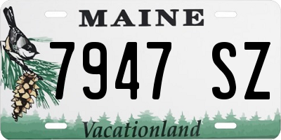 ME license plate 7947SZ