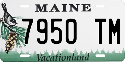 ME license plate 7950TM