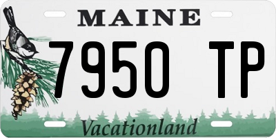 ME license plate 7950TP