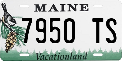ME license plate 7950TS