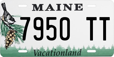 ME license plate 7950TT