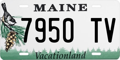 ME license plate 7950TV