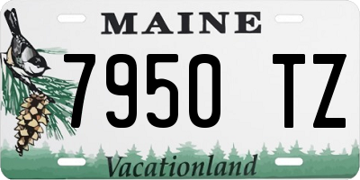 ME license plate 7950TZ