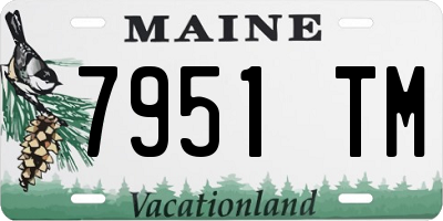 ME license plate 7951TM