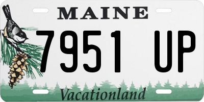 ME license plate 7951UP