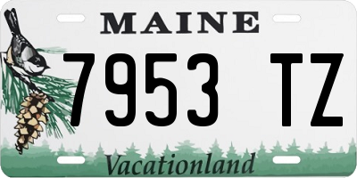ME license plate 7953TZ