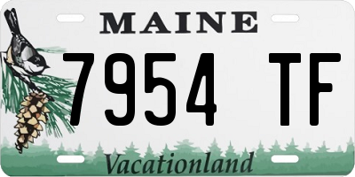 ME license plate 7954TF