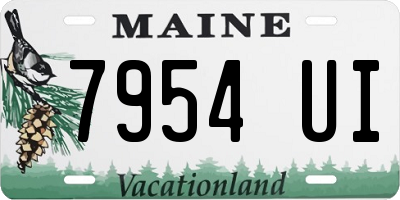 ME license plate 7954UI