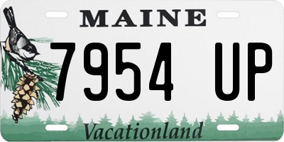 ME license plate 7954UP