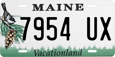 ME license plate 7954UX