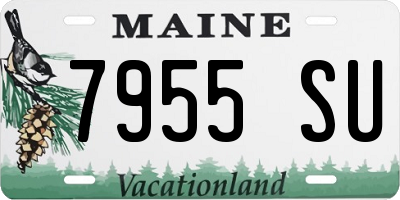 ME license plate 7955SU