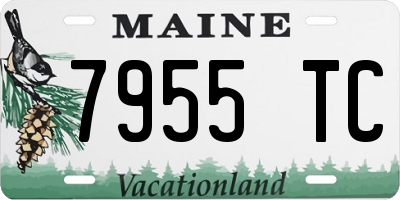 ME license plate 7955TC