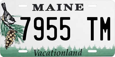 ME license plate 7955TM