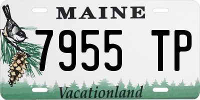 ME license plate 7955TP