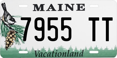 ME license plate 7955TT