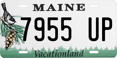 ME license plate 7955UP