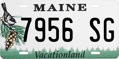 ME license plate 7956SG