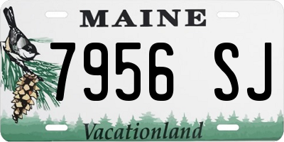 ME license plate 7956SJ