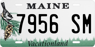 ME license plate 7956SM