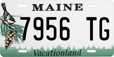 ME license plate 7956TG