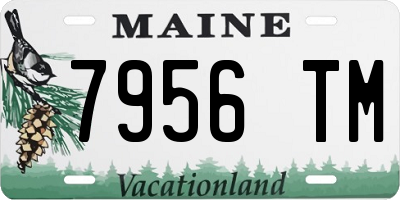 ME license plate 7956TM
