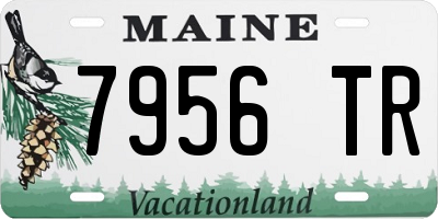 ME license plate 7956TR