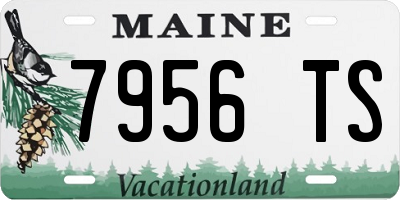 ME license plate 7956TS