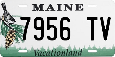 ME license plate 7956TV