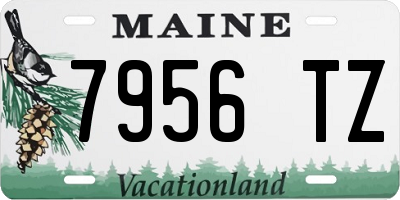 ME license plate 7956TZ